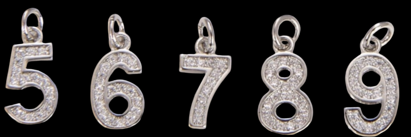 Add-On Pave Numbers